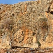 Peter and forgiveness