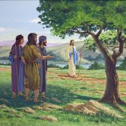 What are you looking for?